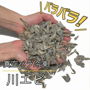 真空 バラ 冷凍 川エビ 450g かわえび エサ 熱帯魚 古代魚 餌 冷凍エサ カワエビ 海老 ※えさ用