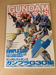 ガンダムウェポンズ ガンプラG30編 RGガンダム/RGシャア専用ザク＆模型戦士ガンプラビルダーズ ビギニングG /O5643/初版