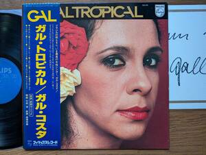 【帯LP】ガルコスタ(FDX472PHILIPS日本フォノグラム1980年AUTOGRAPH直筆サイン色紙付ガルトロピカルGAL COSTA/GALTROPICAL/OBI)