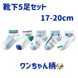 メッシュ靴下　男の子　犬　わんちゃん　涼しい　春夏用　5足セット　17-20cm 白　ホワイト　幼稚園　保育園　小学生