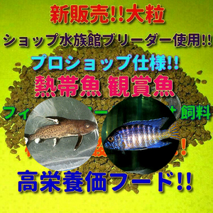 新販売! 大粒 ショップ 水族館 使用 熱帯魚 たっぷり大盛 500g エサ 飼料 プロ仕様 沈下タイプ 観賞魚 淡水魚 フィッシュフード シクリッド