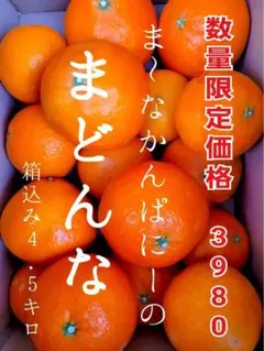 ま〜なかんぱにーのマドンナ(愛媛県産) 『最終SALE‼︎』