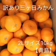 訳あり三ヶ日みかん2Lサイズ10kg【青島】