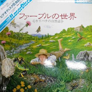 L1/中古LＤ☆「ファーブルの世界～カリバチの自然誌」☆岩田久ニ男　監修☆動画＋静止画☆20ページのブックレットつき