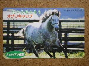 I467・オグリキャップ 競馬 テレカ