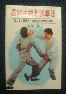 中国語書籍【 図解中国北派拳法 功力拳・孫〇拳・力劈拳之型的用法介紹 】孫大川/編 寳威図書公司/発行