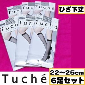 【定価2,640円】匿名★同梱歓迎★Tuche 6足セット ラッセルネット ひざ下丈 網タイツ 22-25cm ストッキング 日本製 GUNZE 黒