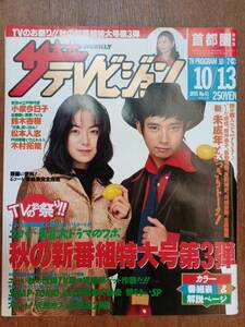 ザ・テレビジョン　１９９５年１０月１３日　首都圏関東版　いしだ壱成　桜井幸子