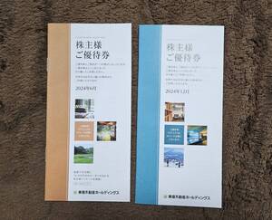 東急不動産ホールディングス 株主優待券　100株以上500株未満2冊　2024年6月発行、2024年12月発行　送料込即決価格！　