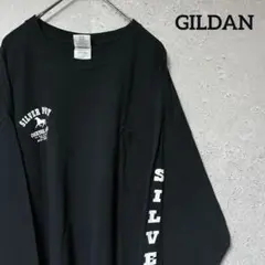 GILDAN ギルダン ロンＴ 長袖 アリゾナ州 バー クラブ オシャレ XL