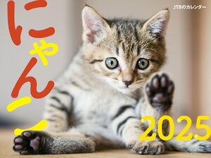 JTBのカレンダー にゃんこ 2025 壁掛け 猫 (カレンダー2025)