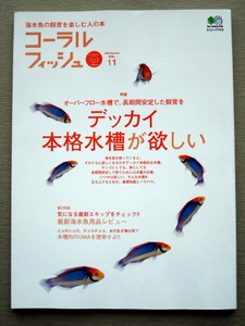 魚 コーラルフィッシュ vol.11 デッカイ本格水槽が欲しい