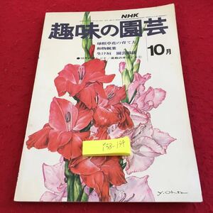 Y38-134 NHK 趣味の園芸 10月号 球根草花の育て方 和物観葉 生け垣 園芸相談 庭しごと 盆栽の手ほどき① 昭和48年発行 形態 植え方 など