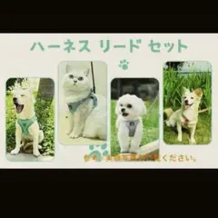 ❣️BELLA & PAL ❣️猫 犬 ハーネス小型犬 【Sサイズ】