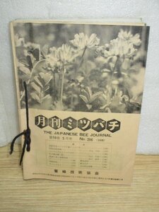 希少■月刊ミツバチ　11冊セット/昭和39年6月～40年5月（40年4月欠品）　養蜂技術協会　17巻-18巻