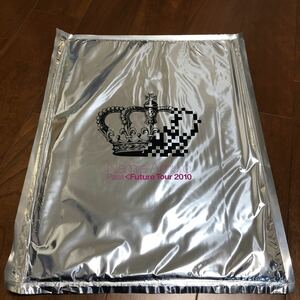 激レア 新品 未開封 安室奈美恵 パンフレット Past Future Tour 2010 写真集 ライブ コンサート 公式グッズ