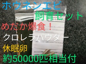 送料無料!　めだか爆食！高栄養価　ホウネンエビ　休眠乾燥卵　約50000匹相当　めだか　グッピー　金魚　　熱帯魚　餌　取説付