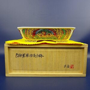 盆栽鉢 月香 小型 長辺 約15cm 長方鉢 外縁 色絵 鳳凰 共布 共箱 観賞用 現品 新品