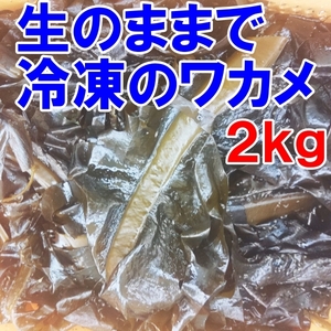 【生のまま冷凍】のワカメ！２ｋｇ（1ｋｇ入真空パック袋×２個）わかめ 味噌汁に サラダに 塩蔵は嫌いな方におススメです。松島牡蠣屋