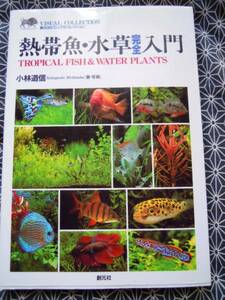 ★熱帯魚・水草完全入門★小林道信★