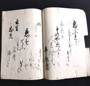 Y039 肉筆 写本◆百手百人一首◆散らし書き 女筆 和歌 国文学 書道 手本 古筆 大本 江戸 時代物 骨董 古美術 古典籍 古文書 和本 古書