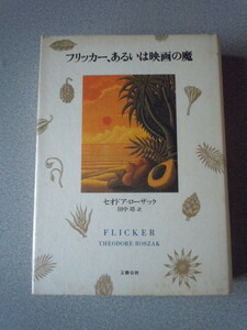 フリッカー、あるいは映画の魔　セオドア・ローザック（田中靖訳）　文藝春秋