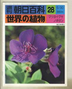 【d8909】76.5.30 週刊朝日百科「世界の植物」28／マツヨイグサ、ノボタン、… 