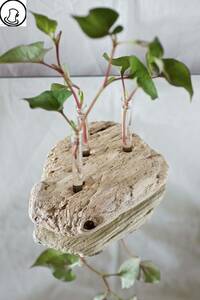 SEASIDEinterior☆流木で作るお花たて"DRIFTWOOD CENTERPIECE 37"