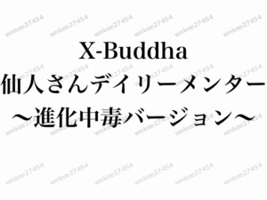 【仙人さん】デイリーメンター全309話 〜進化中毒バージョン〜 毎日23時配信 10分間デイリーボイス音声 非売品 Mr.X マインドセット 