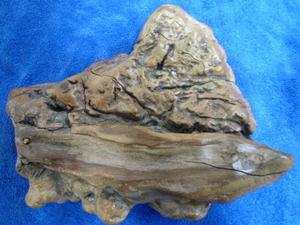 珍品 木化石 天然沈水香木 瑪瑙侵食 板状珪化木 木の化石 鹿児島 沈香 入手困難品 珍品