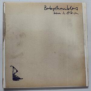 即決　BABYSHAMBLES Down In Albion　EUオリジナル 2LP　ベイビーシャンブルズ　　YA