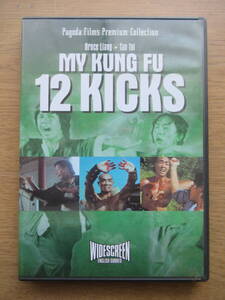 DVD MY KUNG FU 12 KICKS 海外版 カンフー映画