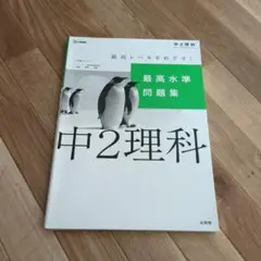 こどもの衣類やおもちゃセール中！様 リクエスト 2点 まとめ商品