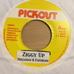 Ziggy Up/Ninjaman&Flourgon