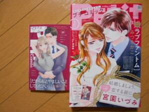 プチコミック２０２５年２月号　第3種１６７円　安タケコ　円城寺マキ　宮園いづみ　付録本１冊付き