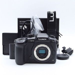 【極上品】 Panasonic Lumix DC-GH5 #4114