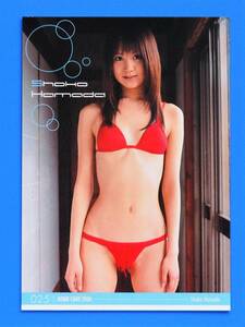 浜田翔子　ビキニ水着姿　★　BOMB ボム 2006年　トレーディングカード　トレカ　※即決価格設定あり