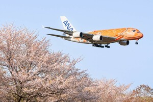 飛行機 デジタル画像 A380 ANA フライングホヌ 3号機 13