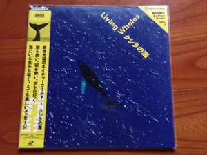 美品！LD クジラの海 岩合光昭のネイチャーワールドVOL.1