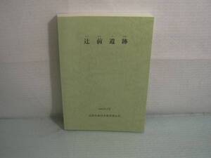 【ARS書店】～遺跡～『辻前遺跡』～つじまえいせき～長野県飯田市・発行：2003年・飯田市教育委員会／古墳時代中期から平安時代の集落跡。