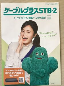 小島瑠璃子(表紙) ★ケーブルテレビ期間限定　★A4パンフ(たたんだ状態) ★新品・非売品