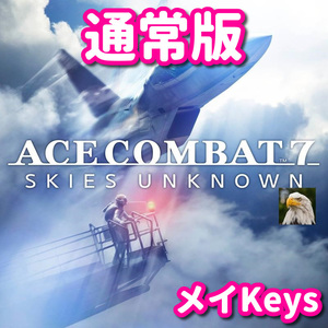 ★STEAM★ Ace Combat 7 エースコンバット 7 PCゲーム メイ