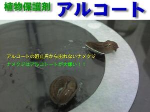 サプリメント成分のナメクジ・カタツムリ忌避剤　アルコート②