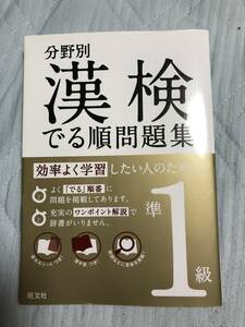 分野別 漢検出る順問題集 準１級