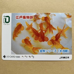 【使用済】 イオカード JR東日本 江戸風物詩 金魚シリーズ「水泡眼」