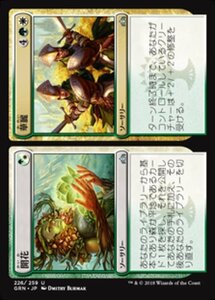 MTG ■金/日本語版■ 《開花+華麗/Flower+Flourish》ラヴニカのギルド GRN