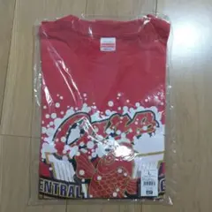 カープ
2016年セ・リーグ優勝記念Tシャツ
 Lサイズ 
未開封