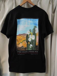 STUSSY ステューシー Cactus Sky Tee 黒 M 最新 人気商品 送料込