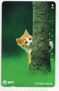 テレフォンカード・ねこ～10（使用済み）猫・ネコ・テレカ