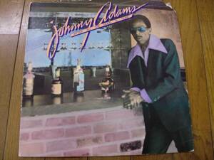 【レコード】JOHNNY ADAMS ジョニー・アダムス / AFTER ALL THE GOOD IS GONE 1978 ARIOLA RECORDS